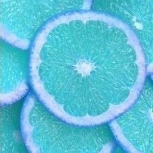 Meet your Posher, Sophie